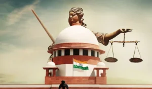 court at a glance