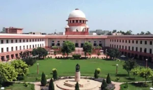 Court at a Glance