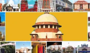 Court at Glance