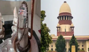 Joshimath, Supreme Court