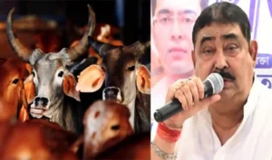 नेता अनुब्रत मंडल की जमानत अर्जी खारिज कर दी