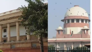 collegium