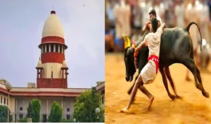 जल्लीकट्टू