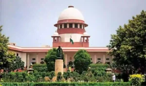court at a glance