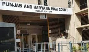 Punjab Haryana High Court