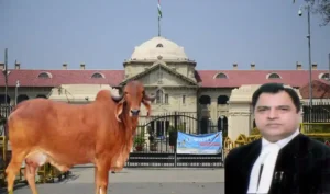allahabad HC, Justice Shamim Ahemad, Cow