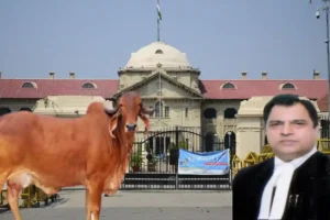 allahabad HC, Justice Shamim Ahemad, Cow