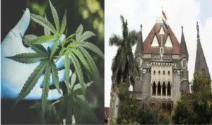 NDPS ACT