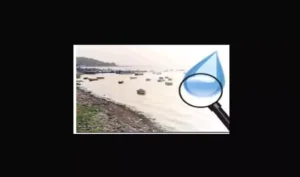 Narmada Bachao