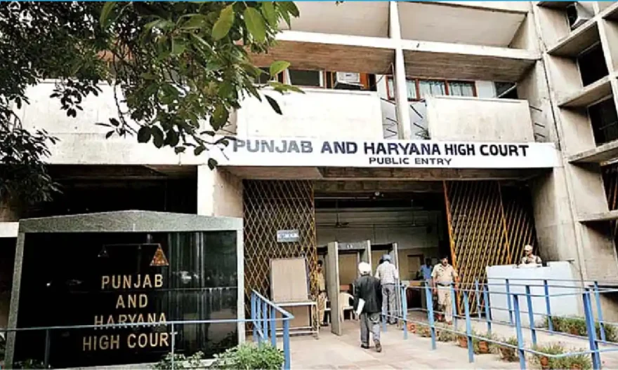 Punjab Haryana High Court