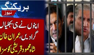 Cypher Case, Imran Khan
