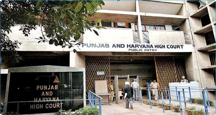 Punjab Haryana High Court1