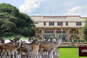 Delhi High court, Deer Park