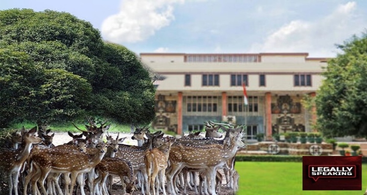 Delhi High court, Deer Park