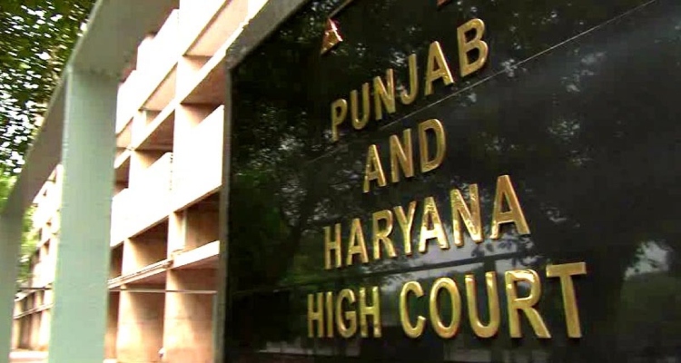 LGBT, Punjab Haryana High Court