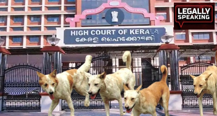 Kerala High Court, Stray Dogs