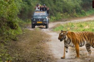 Jim Corbett